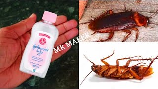 JONSON OIL MAGIC  Amazing Results  Get Red Off Cockroach LizardHome Fly [upl. by Aitra]