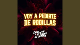 Voy a Pedirte de Rodillas [upl. by Dall473]