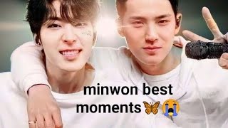 MINWONMEANIE 🐱🐶 🦋🤍😭  MY FAV MOMENTS 🥺😍  2024 MOMENT must watch minwon mingyu wonwoo [upl. by Nevada]