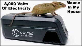 8000 Volts Of Electricity End A Mouse Home Invasion The OWLTRA Infrared Trap Mousetrap Monday [upl. by Ikceb251]