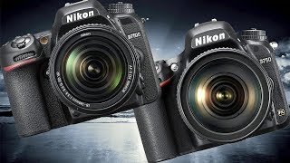 Nikon D750 vs Nikon D7500 High ISO Performance [upl. by Llevram844]