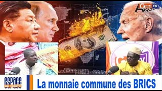 urgent La monnaie commune des BRICS [upl. by Lerim]