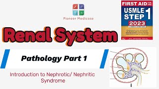 Nephrotic Syndrome of Renal Pathology from First Aid Step 1pathology part 1UrduHindi [upl. by Nednal]