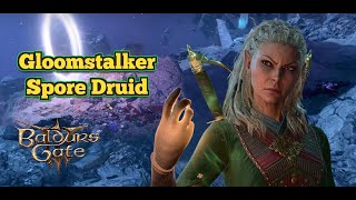 Spore Druid Gloom Stalker Ranger  Baldurs Gate 3 Multiclass Guide  Level 112 amp Combat Tutorial [upl. by Enahsed]