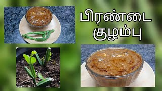 Pirandai Kulambu Recipe  FDF TAMIL [upl. by Armbruster]