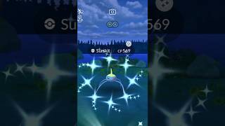 Shiny Surskit Pokemon GO [upl. by Aneej825]