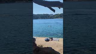 Summer viber in Cavtat Croatia🇭🇷🇭🇷 [upl. by Narak174]