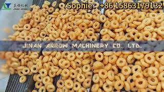 Puffed ring snacks extruder machinery Puff corn snacks production line [upl. by Elleirb425]