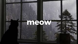 meow meow sad song ai viral tiktok lyrics aesthetic 🥀 [upl. by Wyatan]