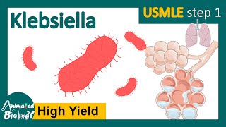 Klebsiella  klebsiella pneumoniae  clinical presentation risk factors and treatment of Klebsiella [upl. by Beale464]