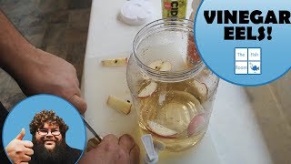 How to Culture Live Vinegar Eels [upl. by Lezti]