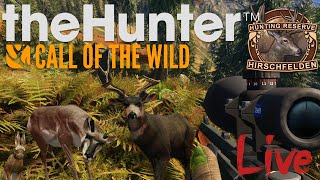 TOP 3 Hirschfelden Europe Hunting Spots You Need to Know About [upl. by Boffa]