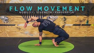 LEARN TO FLOW Movement Class for Mobility amp Strength Yoga  Primal Movement  Animal Flow [upl. by Ahsinhoj]