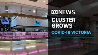 Melbourne shopping centre cluster grows to 31 cases as officials doorknock every shop  ABC News [upl. by Engedus]