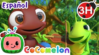 La hormiga y el saltamontes🦗🐜 CoComelon y los animales 🍉 Dibujos para niños [upl. by Ynhoj519]