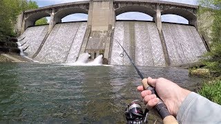 Fishing Below GIANT Spillway  LOADED with Fish [upl. by Gurolinick]