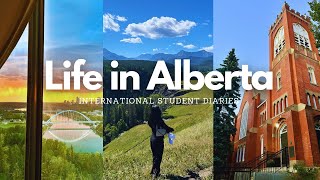 Life in Alberta  International Student Diaries  summer days road trips festivals  Canada Vlog [upl. by Orapma]