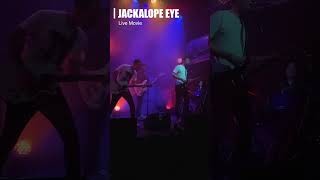 JACKALOPE EYE 初ライブ映像【Strange Disease】【Tell the Devil】YUKA FUKAYA [upl. by Nitaf]