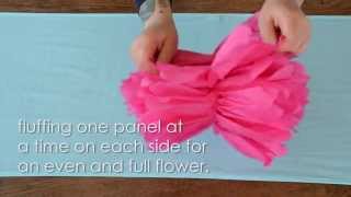 How To Assemble Tissue Paper Flower Pom Poms [upl. by Dimitri]