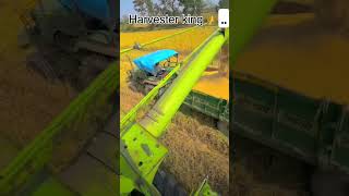 myfarminglifeandme farming farminglifeinanotherworld compin [upl. by Tavy]