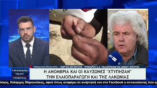 Ο πρόεδρος του Αγροτικού Συνεταιρισμού Ελαιοπαραγωγών Παλαιοπαναγιάς Σπάρτης Δογαντζής Γιώργος [upl. by Ecirtemed]