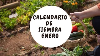 Calendario siembra Enero Sur y Norte [upl. by Ahsienot]