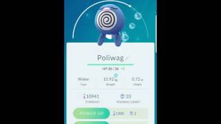 Powering up amp Evolving Poliwag Pokemon Go [upl. by Onitnas]