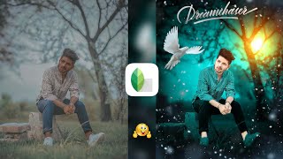 Snapseed Green And Bird Effect Photo Editing Tutorial  Snapseed Background Colour Change Tricks [upl. by Partridge]