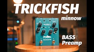 Trickfish minnow bass preamp pedal review [upl. by Steel805]