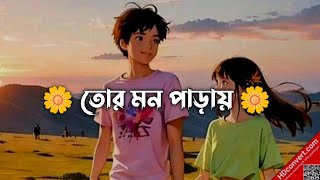 tor mon paray lyrics তোর মন পাড়ায়  Mahdi Sultan  bangla song [upl. by Ainolopa]