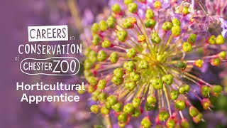 Chester Zoo Careers  Horticulture Apprentice [upl. by Dulsea]