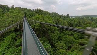 12km macritchie loop hike  HSBC tree top walk [upl. by Adnawal936]