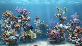 SimAQUARIUM Tank4 screensaver [upl. by Janik]