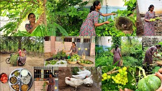 இந்த அடர்வனத்தில் ஒரு அறுவடைங்கHarvesting and cooking Healthy lunch menuDay in farm My farm life🌱 [upl. by Leventhal]