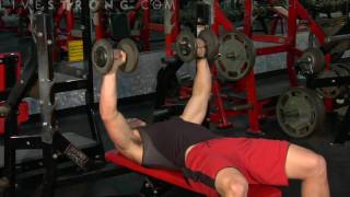 How to Do Flat Bench Dumbbell Press [upl. by Scornik]