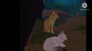 Warrior cats Into the wild Series Sneak peaks [upl. by Porett251]