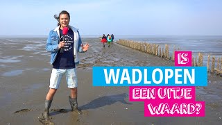 Wadlopen in Pieterburen  Is Het Een Uitje Waard [upl. by Enaoj240]