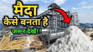 फैक्ट्री में मैदा कैसे बनता हैं  How maida is made   by VitalGyan [upl. by Biddick]