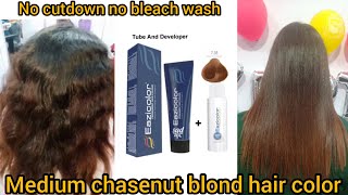 beautiful chestnut hair colour full theory with easicolour Fashion shade hair dye without cutdown [upl. by Nanete]