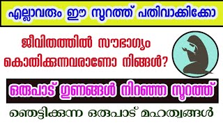 സൗഭാഗ്യം ഉണ്ടാകാൻ ഭാഗ്യ കവാടങ്ങൾ തുറക്കപ്പെടാൻ  benefits of surath shams [upl. by Paterson]