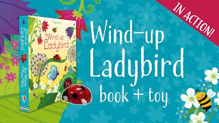 The Usborne Windup Ladybird Book [upl. by Erleena]