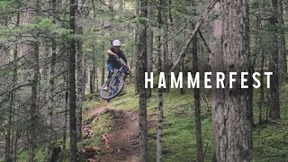 Hammerfest Trails  Vancouver Island Mountain Biking [upl. by Ilamad]