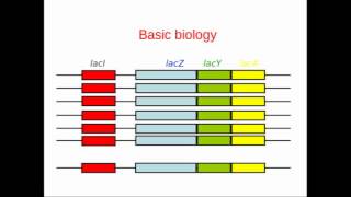 Genome Annotation [upl. by Brunn330]