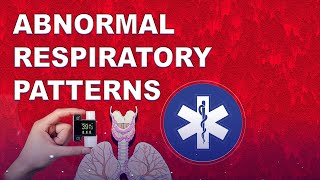 Abnormal Respiratory Patterns amp Associated Health Affects [upl. by Morocco900]