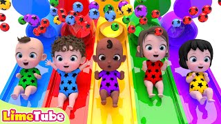 Exciting slide ball pool  One Little Finger amp Bingo  Nursery Rhymes  Kindergarten  LimeAndToys [upl. by Toshiko]