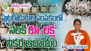 Mushroom Farming Earning Monthly 1 Lakh Net Income  Sri Lakshmi [upl. by Padriac329]