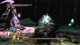 Dark Souls 2 Nashandra fight flawless Melee Solo [upl. by Nylekoorb]