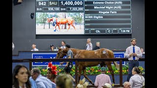 Review of the Magic Millions 2024 Gold Coast Yearling Sale [upl. by Wandis]