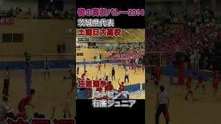 【春の高校バレー2024注目選手①】ローゼンマーク有廉ジュニア選手土浦日大高校 [upl. by Doubler]