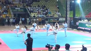 Kukkiwon Team Demonstration Part 01 [upl. by Atiuqa]